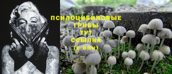 круглые Вяземский