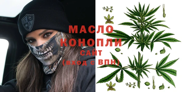 шишки Горно-Алтайск
