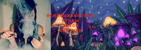 круглые Вяземский