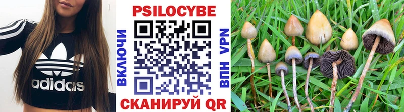 Псилоцибиновые грибы Magic Shrooms  darknet какой сайт  Нижний Тагил  где продают наркотики 